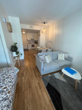 SiilinPiha central apartament Siilinjärvi Siilinjärvi